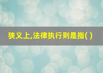 狭义上,法律执行则是指( )